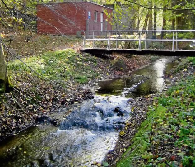 Von hier kommt in vielen Orten im Kreis Soest das Wasser: Die Lörmecke-Quelle in Kallenhardt. Archivfoto