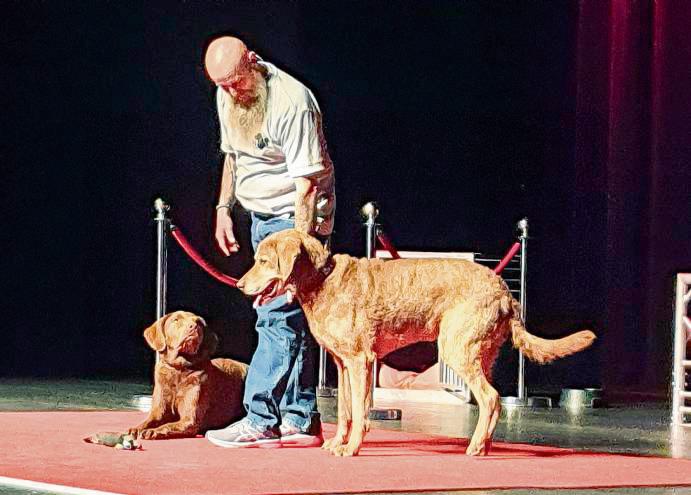 Hundeerzieher Holger Schüler mit seinen Hunden Anuki (l.) und Dakota im Lippstädter Stadttheater. Foto: Wissing