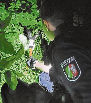 Mit einer Möhre lockten die Polizisten den flauschigen Flüchtling in Sicherheit.