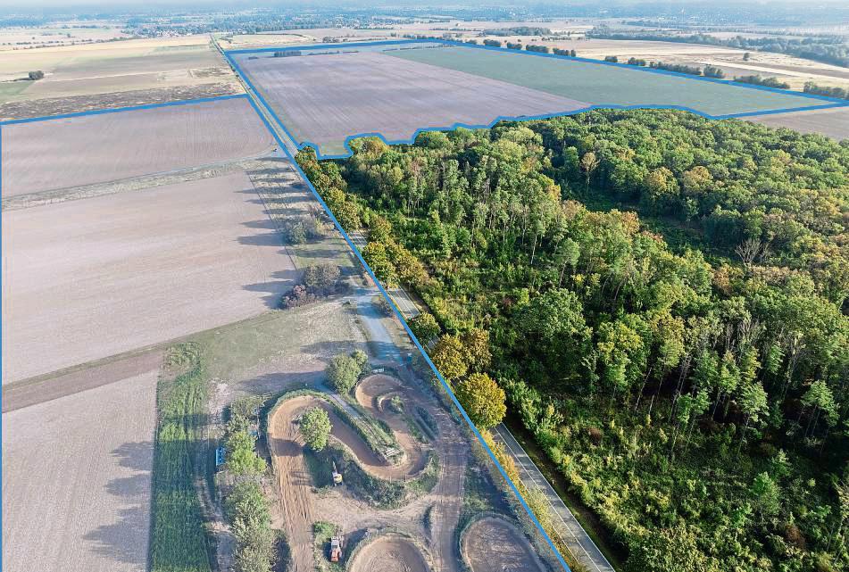 Auf dem Gelände des ehemaligen Fliegerhorsts südlich von Störmede soll langfristig ein Steinbruch entstehen. Eingefärbt ist die gesamte Reservefläche für den Steinabbau, wie sie im Regionalplan ausgezeichnet ist. Steinbruch wird zunächst aber vermutlich die Fläche im Hintergrund, ab dem Waldstück. Foto: Eickhoff
