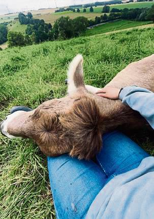 Pause mit Kuh: Johanna Kahr genießt das Landleben.