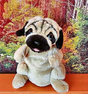 Mo, der Mops