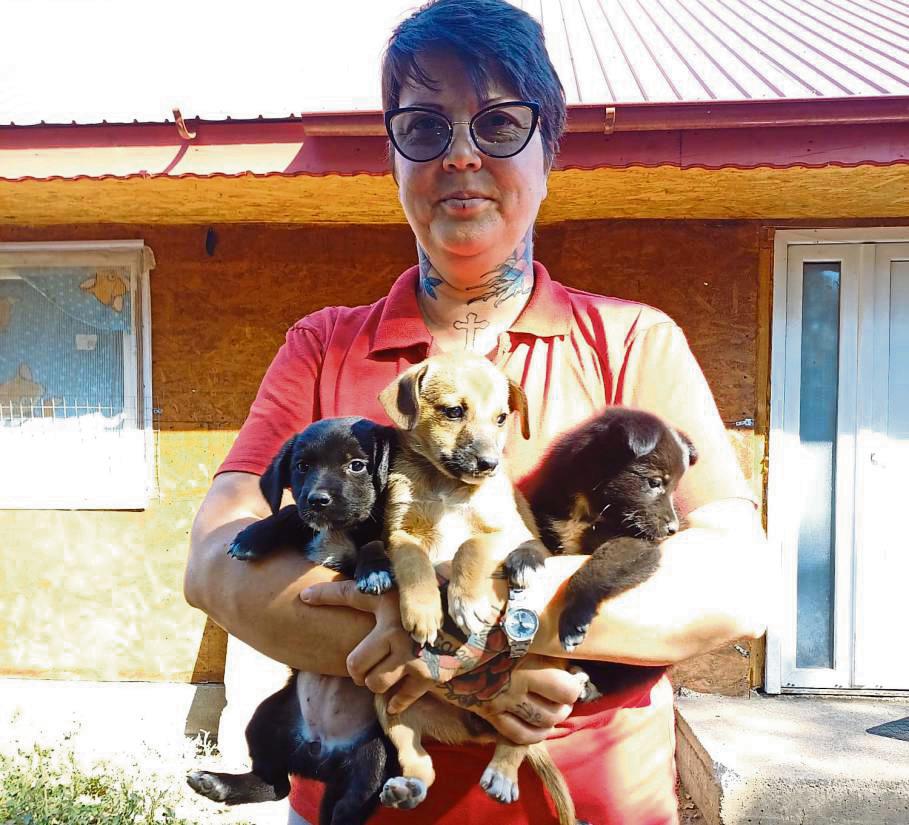 Die Hunde hat Emilia Becker alle gerettet. Schlimmes haben die Tiere zuvor erlebt.