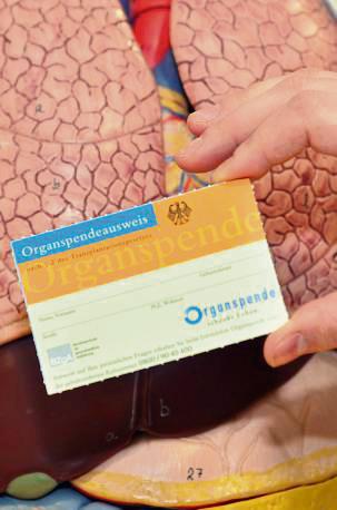 Die persönliche Entscheidung kann etwa über einen Organspendeausweis erklärt werden. Foto: Weinstock/ Kreis Soest