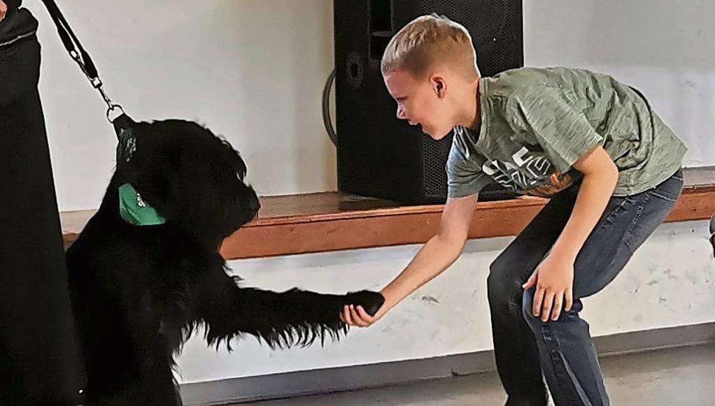 High Five mit der Pfote: Bei der Ferienspaß-Aktion buken die Kids nicht nur Hundekekse, sondern gingen auch mit Riesenschnauzer-Dame Fritzi auf Tuchfühlung. Foto: Goddek