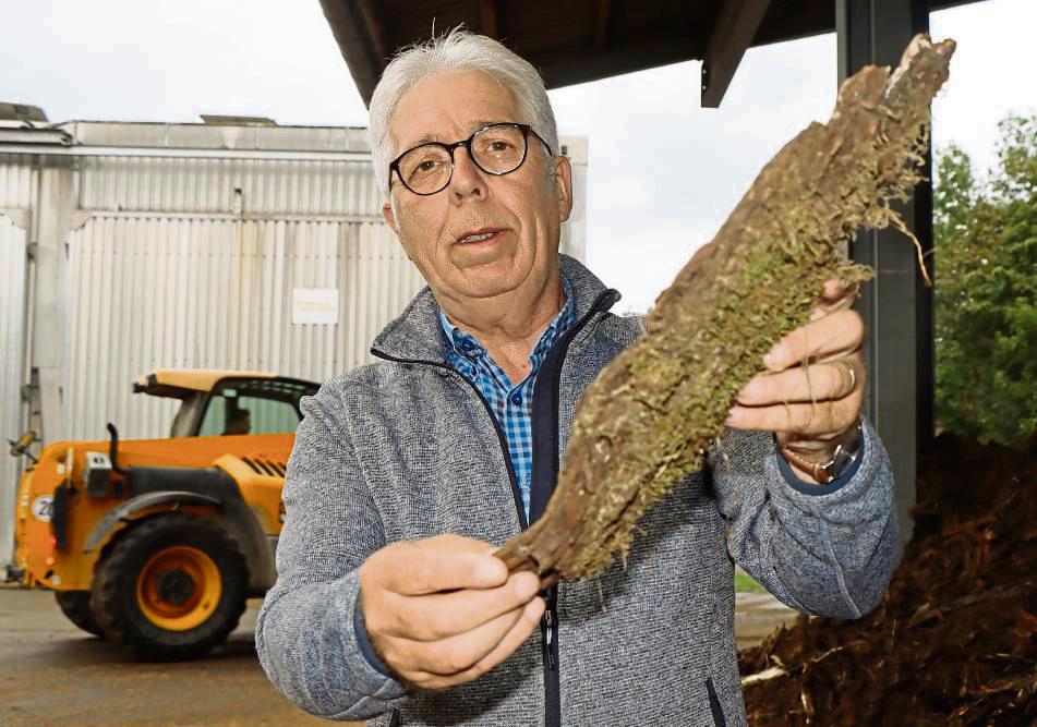 Die Trocknungsöfen im Sägewerk – also die Energielieferanten fürs Nahwärmenetz – werden mit Baumrinde befeuert. Dabei handelt es sich um ein Abfallprodukt. Fotos: Dietz