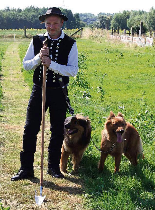 Tobias Kemper hütet in der vierten Generation Schafe im Familienbetrieb – die Hunde stets an seiner Seite.