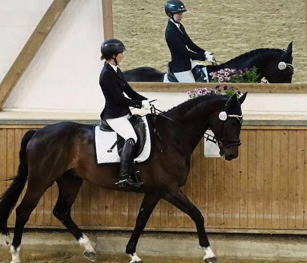 Spieglein, Spieglein an der Wand, wer ist die beste Dressurreiterin im ganzen Land? Auf jeden Fall gaben die Reiterinnen beim Turnier in Rüthen ihr Bestes. Foto: Feichtinger