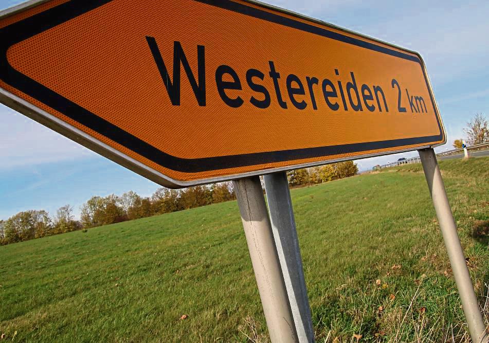 Entlang der A 44 bei Westereiden ist eine großflächige Photovoltaikanlage geplant – der Bauausschuss der Stadt Rüthen berät über das Vorhaben. Archivfoto: Schönhense