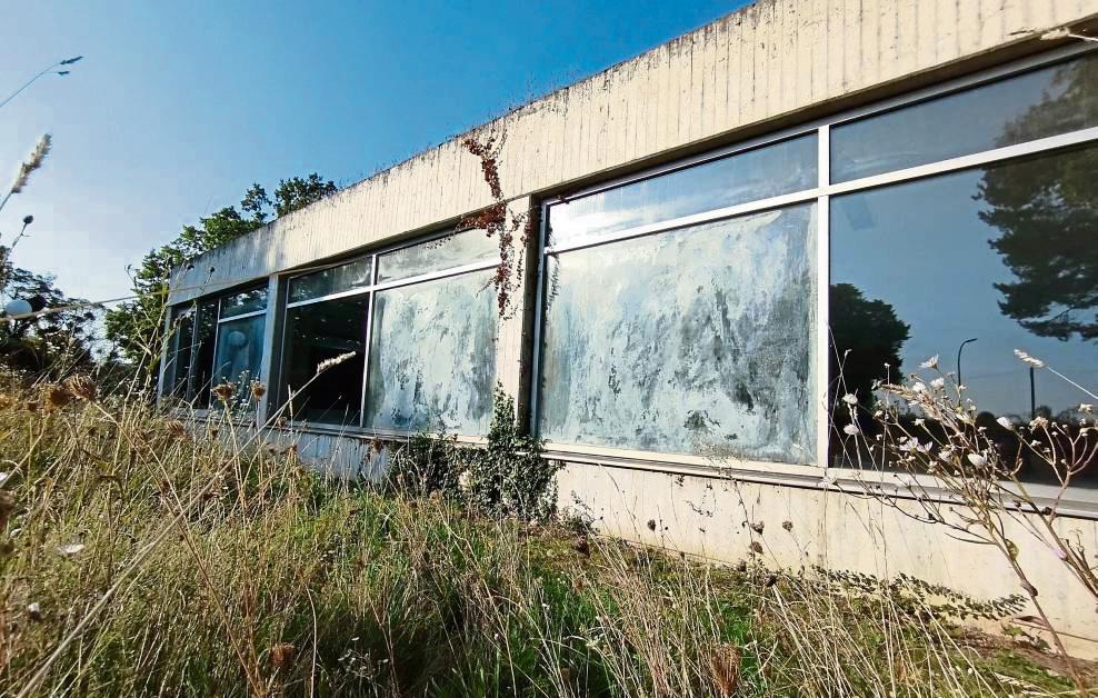 Die Grünen-Fraktion hat sich jetzt für eine schnelle, grundlegende Sanierung des Lehrschwimmbeckens im Dedinghauser Kleefeld ausgesprochen. Foto: Niggenaber