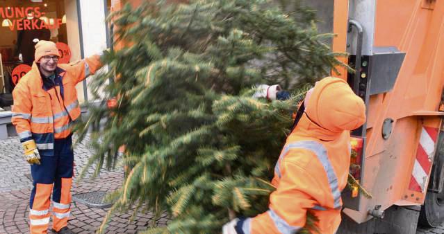 Ab dem heutigen Montag werden die Weihnachtsbäume im Stadtgebiet abgeholt.