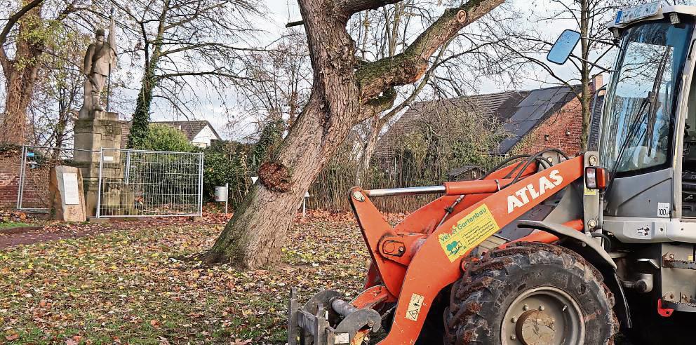 Der kleine Park am Königshof bekommt ein neues Gesicht. Foto: Ulrike Dietz