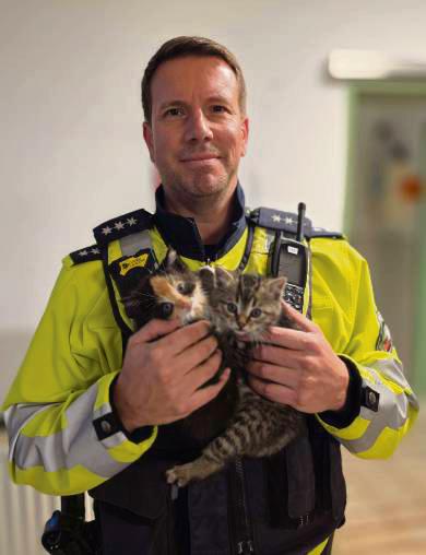 Freund und Helfer, das ist die Polizei auch für Vierbeiner: Nach anfänglichen Fluchtversuchen scheinen sich die kleinen Räuber in den Armen der Polizistinnen und Polizisten wohlzufühlen.