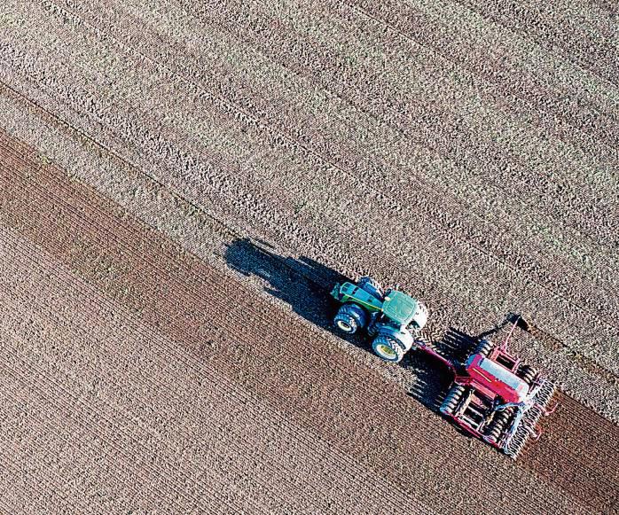 Die heimischen Landwirte feiern Erntedank und sind schon wieder mit der Aussaat für die Ernte des kommenden Jahres beschäftigt. Foto: Jens Büttner (dpa)