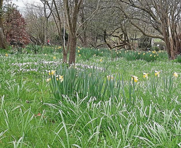 Nur einmal jährlich wird der Garten gemäht.