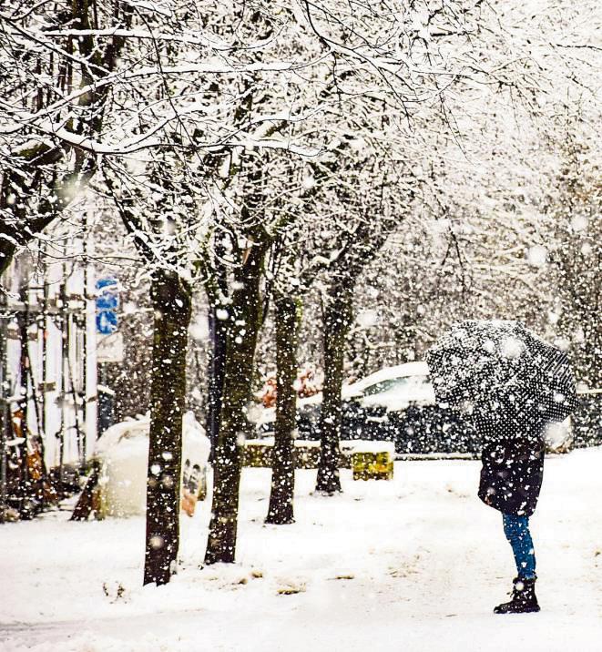 Manche Straßen sind schon mit Bäumen gesegnet – so etwa auch In der Halle. Archivfoto: Daniel Kossack
