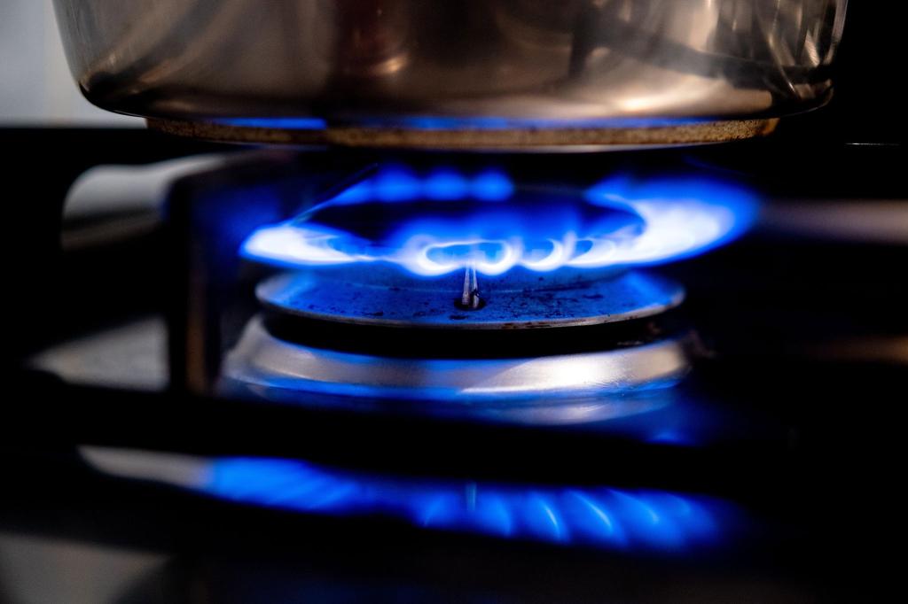 Eine Gasflamme brennt auf einem Küchenherd. - Foto: Hauke-Christian Dittrich/dpa