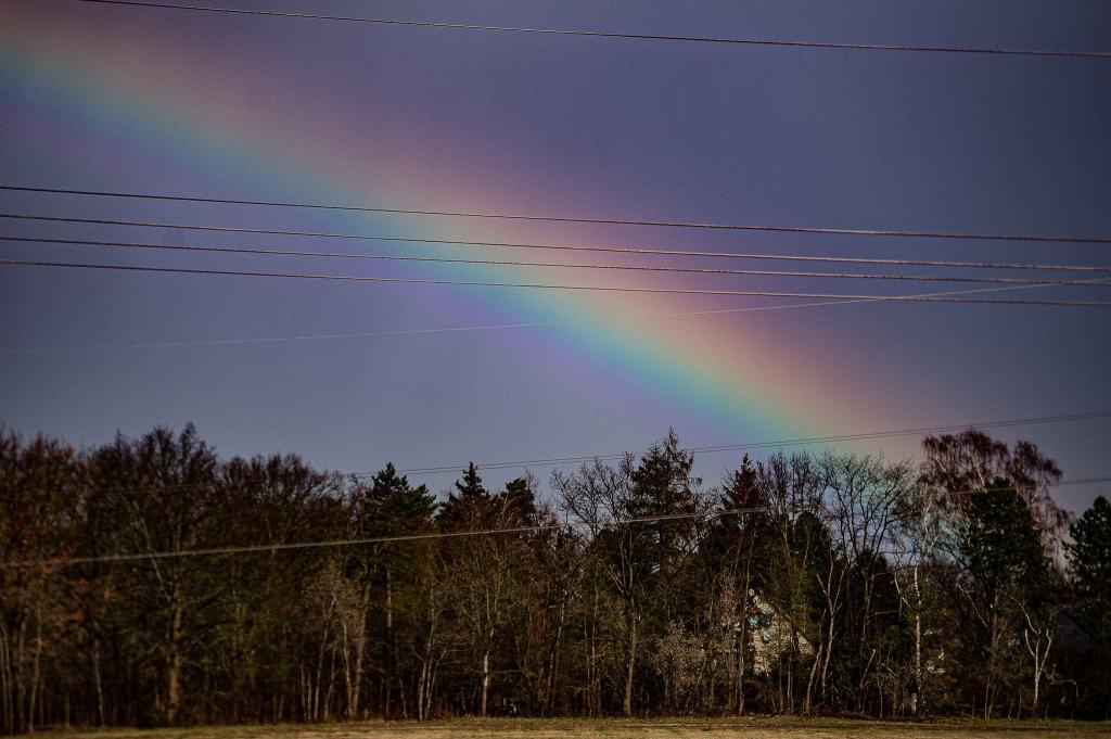 In Braunschweig zeigt sich ein Regenbogen am Himmel. - Foto: Swen Pförtner/dpa