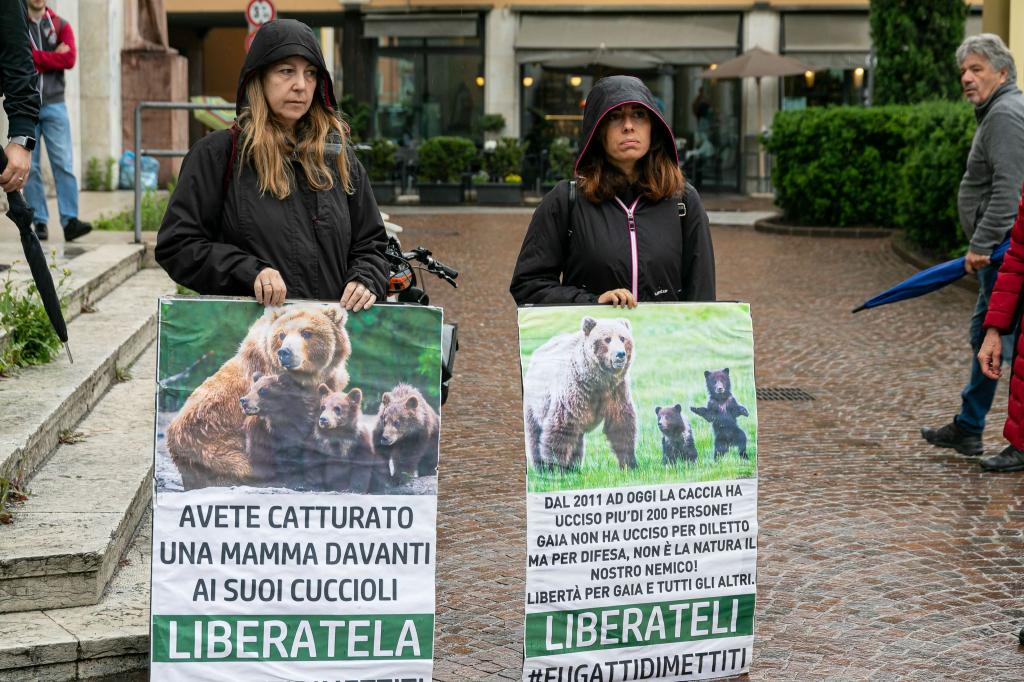 Umweltschützerinnen demonstrieren für die Befreiung der Bärin JJ4. - Foto: Enrico Pretto/LaPresse via ZUMA Press/dpa