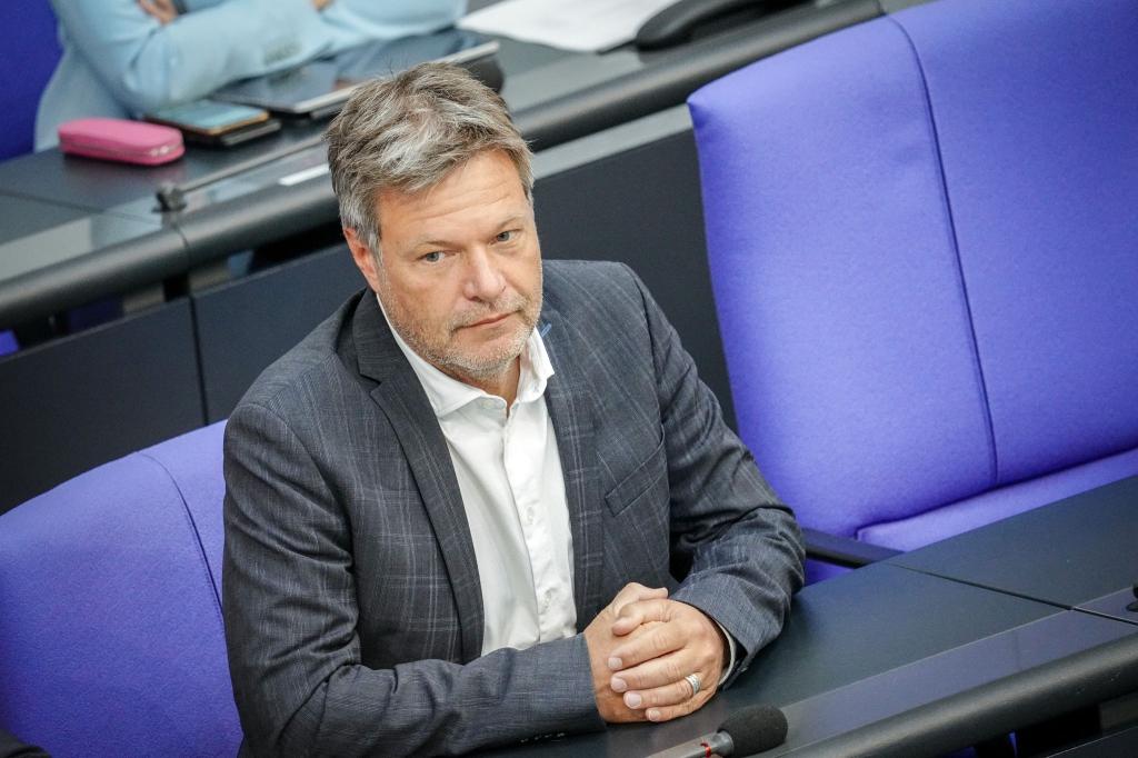 Robert Habeck: «Ich will das Gesetz besser machen.» - Foto: Kay Nietfeld/dpa