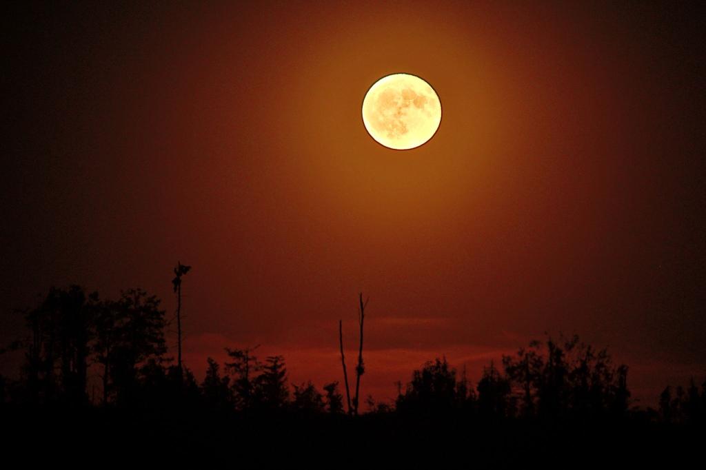 Der Vollmond leuchtet rötlich am Himmel über der Landschaft im Harz bei Schierke. - Foto: Matthias Bein/dpa