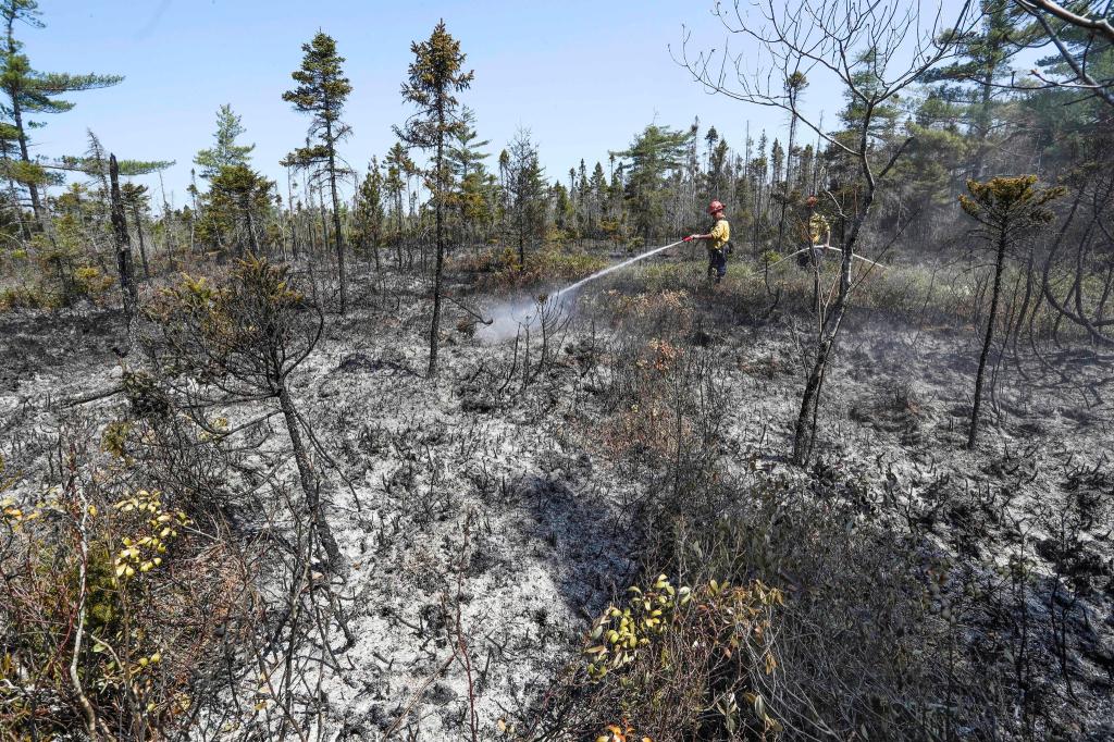 Löscharbeiten in einem Waldgebiet in Nova Scotia. - Foto: ---/Communications Nova Scotia via The Canadian Press/AP/dpa