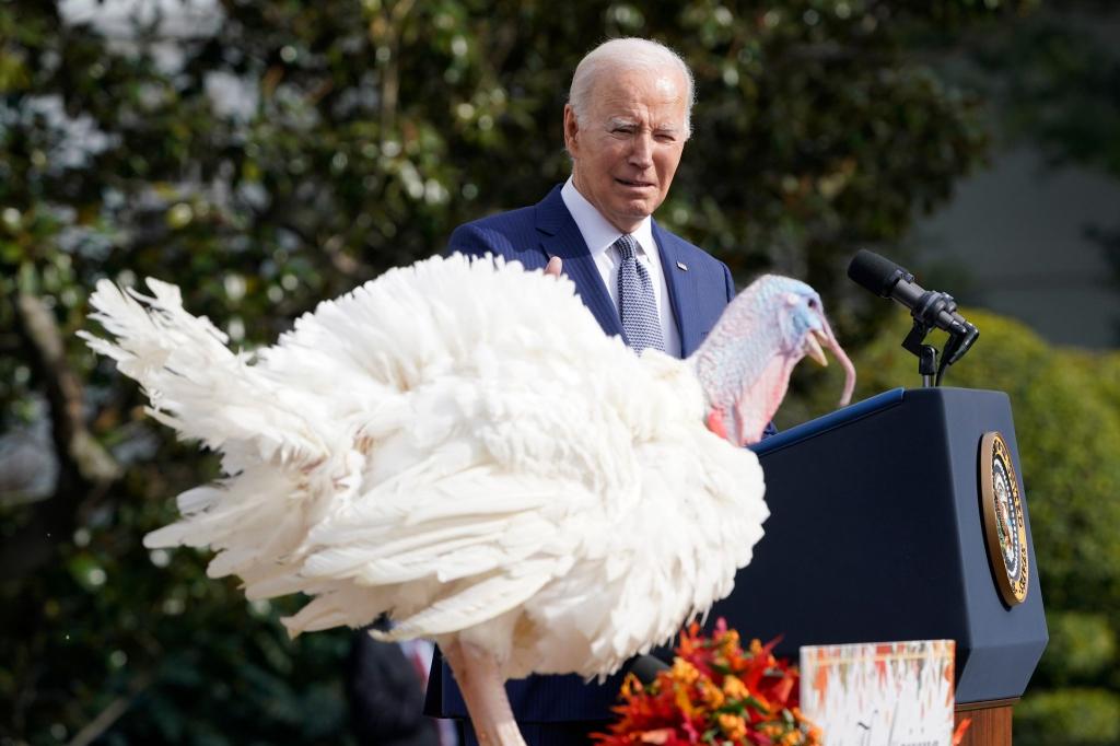 Joe Biden begnadigt die Thanksgiving-Truthähne «Liberty» und «Bell». - Foto: Susan Walsh/AP/dpa