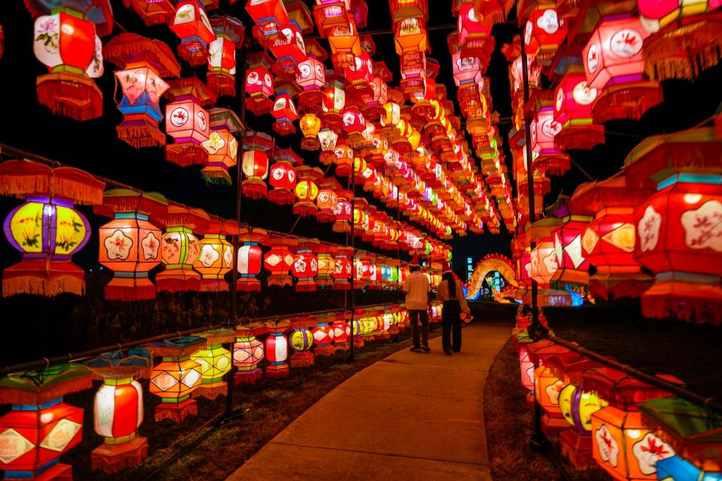 Ein Weg aus Licht: Die Lichtershow «Radiant Nature» im Botanischen Garten in Houston ist von traditionellen chinesischen Laternen inspiriert. - Foto: Karen Warren/Houston Chronicle/AP/dpa