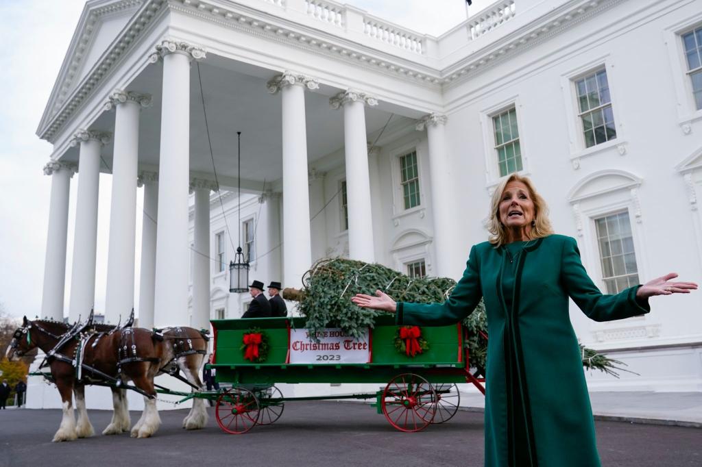 Jill Biden nimmt den offiziellen Weihnachtsbaum für das Weiße Haus in Empfang. - Foto: Susan Walsh/AP