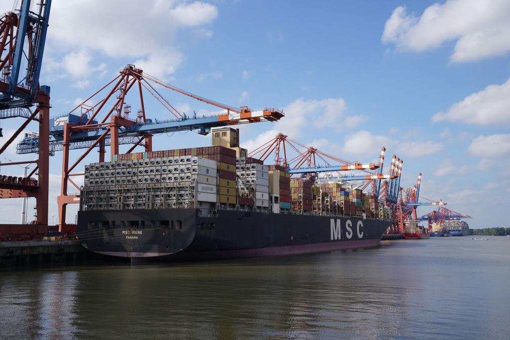 Die Stadt Hamburg und MSC hatten vereinbart, dass die HHLA künftig als Gemeinschaftsunternehmen geführt werden soll. - Foto: Marcus Brandt/dpa