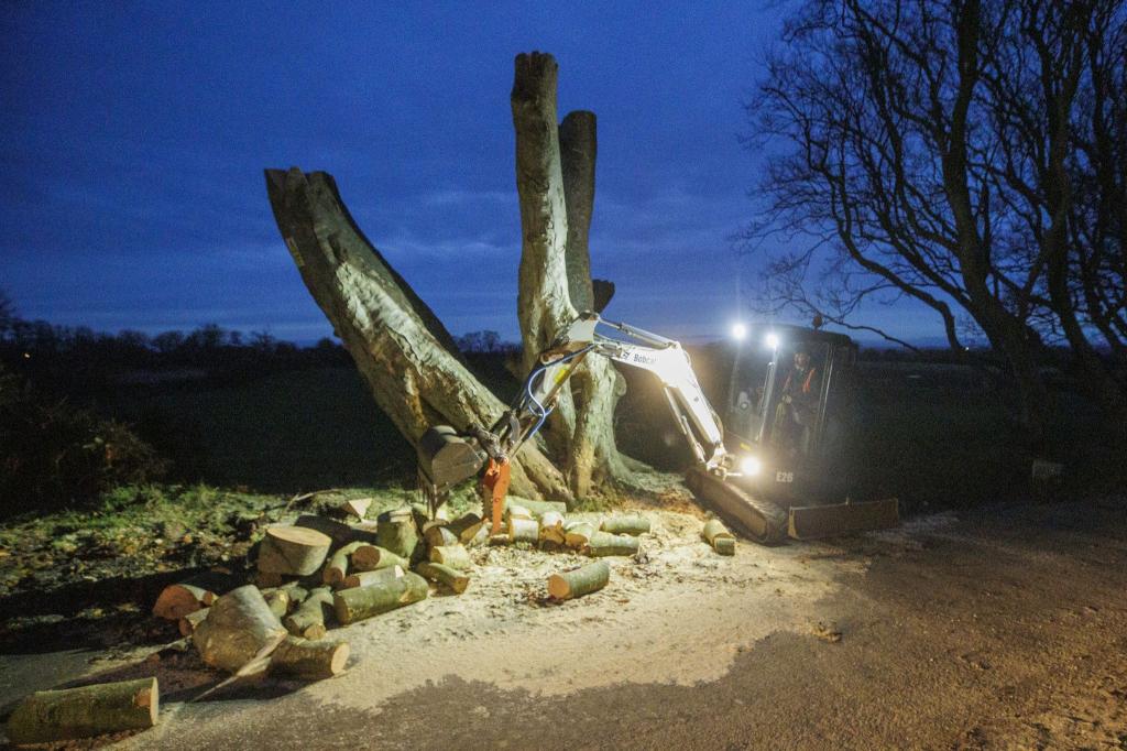 Durch eine Szene in der Fantasy-Serie «Game of Thrones» wurde eine mystische Buchenallee in Nordirland international bekannt. Nun werden sechs Bäume in der «Dark Hedges» genannten Straße gefällt - wegen Altersschwäche und Sturmschäden. - Foto: Liam Mcburney/PA Wire/dpa