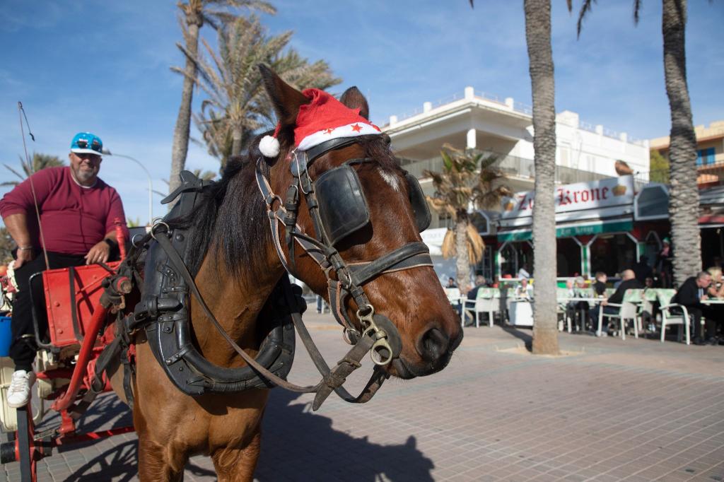 Weihnachtsstimmung bei sommerlichen Temperaturen: Auf Mallorca wurden 24 Grad gemessen, ein Temperaturrekord im Monat Dezember. - Foto: Clara Margais/dpa