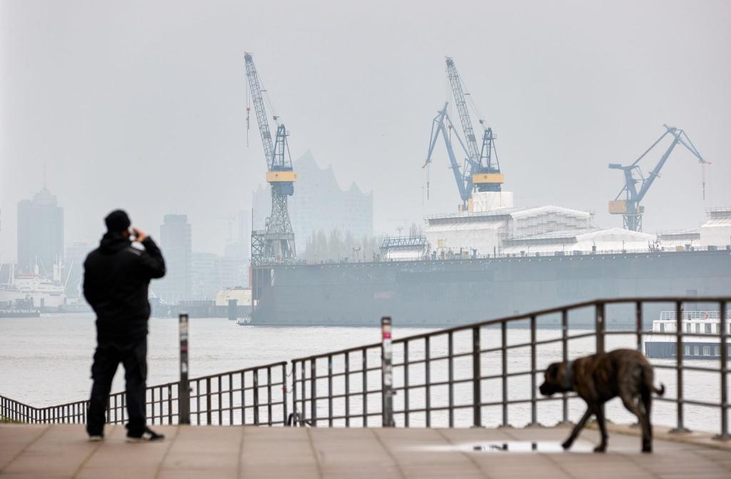 Blick auf den Hamburger Hafen: Nach vorläufigen Daten schrumpfte die Wirtschaftsleistung im vierten Quartal zum Vorquartal um 0,3 Prozent. - Foto: Georg Wendt/dpa
