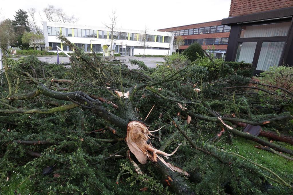 Umgestürzte Bäume auf dem Gelände eines Gymnasiums in Korschenbroich bei Mönchengladbach. - Foto: David Young/dpa