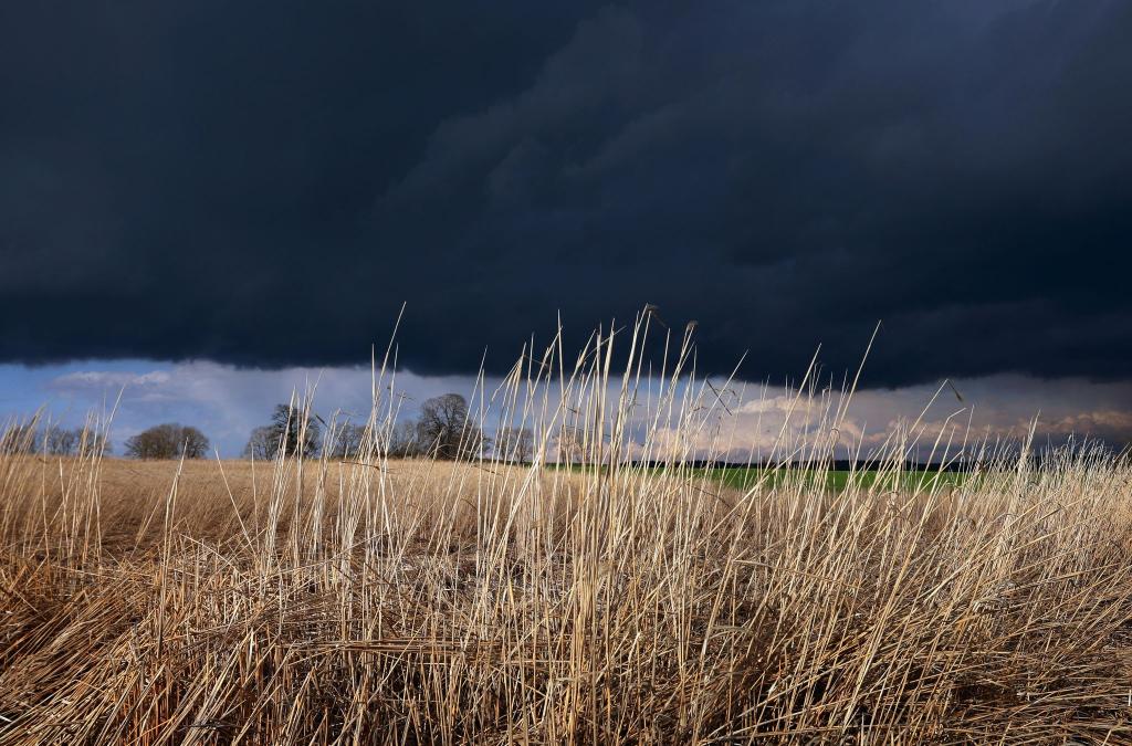Gewitterwolken ziehen über ein Feld: Das Wetter am Abend ist durchwachsen. - Foto: Karl-Josef Hildenbrand/dpa