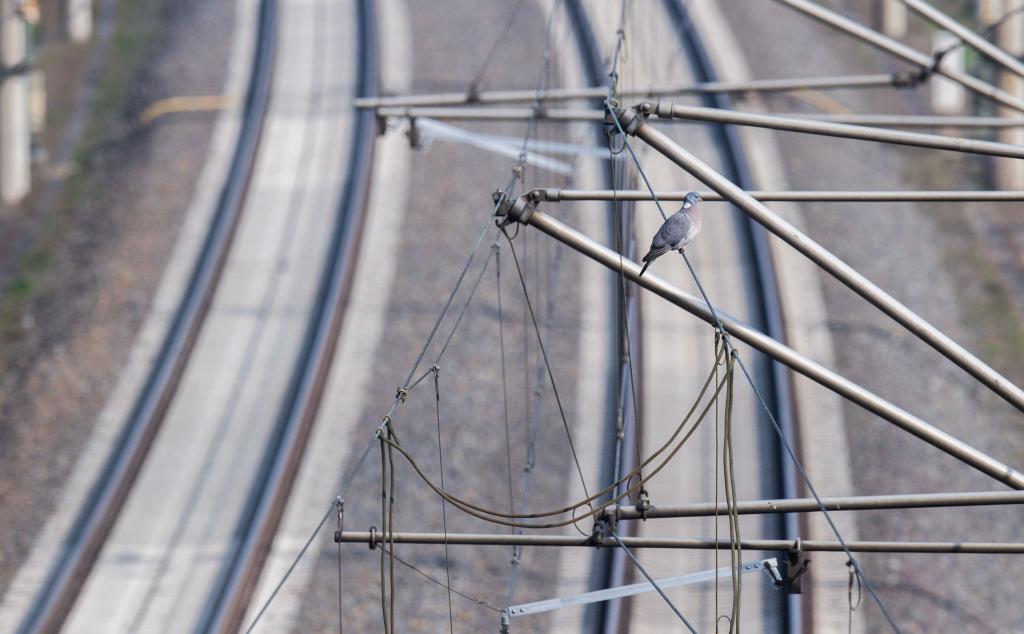 Bei der Elektrifizierung von Bahnstrecken gibt es Defizite. - Foto: Julian Stratenschulte/dpa