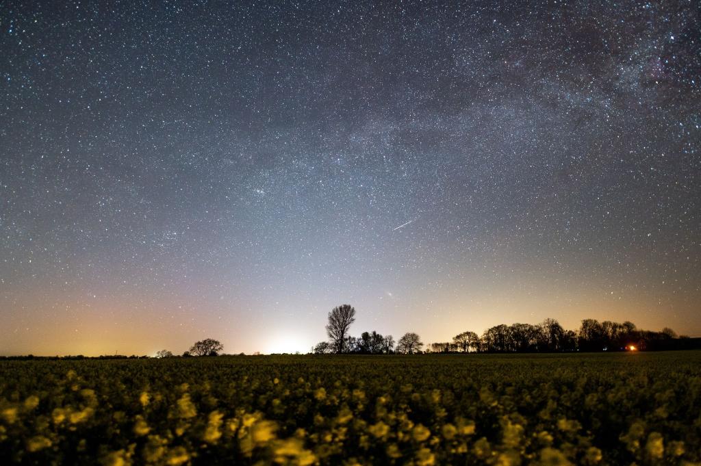 Der Sternenhimmel leuchtet über einem Rapsfeld in Schleswig-Holstein. - Foto: Daniel Reinhardt/dpa