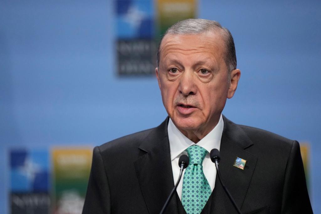 Der türkische Präsident Erdogan unterstützt die Hamas öffentlich. - Foto: Pavel Golovkin/AP/dpa