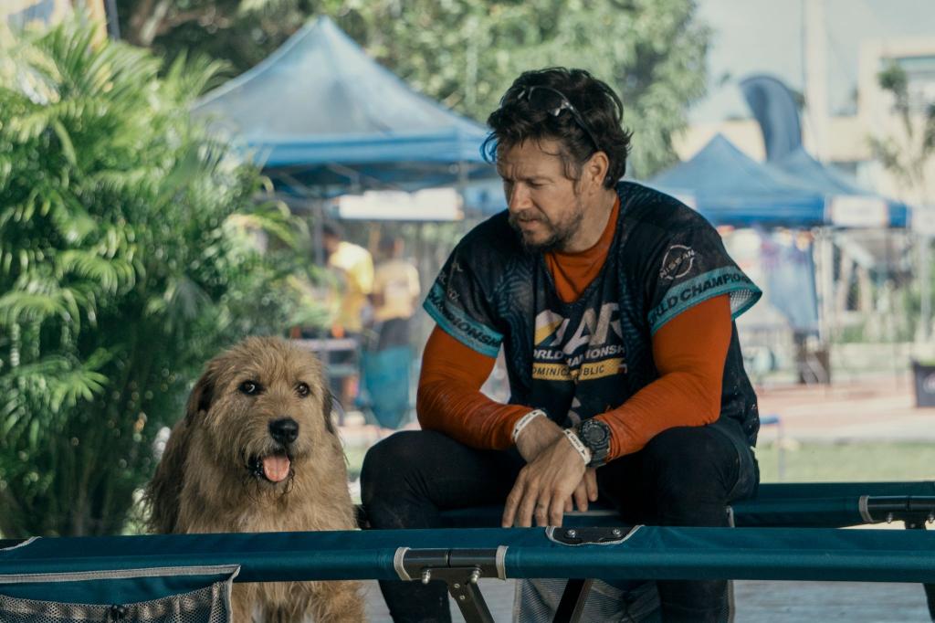 Mark Wahlberg als Michael in einer Szene des Films «Arthur der Große». Der Schauspieler setzt sich für die Adoption von Haustieren ein. - Foto: Carlos Rodriguez/Lionsgate/dpa
