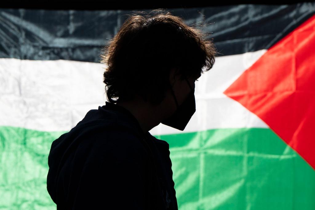 Die Demonstrierenden kritisieren das Vorgehen Israels im Gaza-Krieg und fordern Solidarität mit den Palästinensern. - Foto: Jenny Kane/AP/dpa
