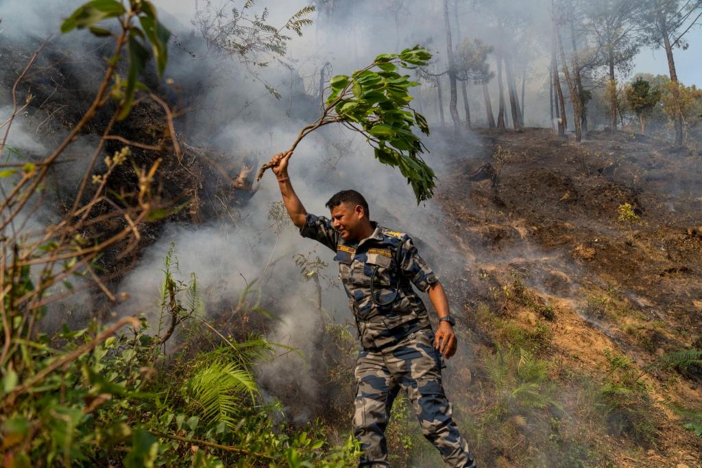 In Nepal ist ein Waldbrand im Shivapuri-Nationalpark am Rande von Lalitpur ausgebrochen. Seitdem wird versucht, das Feuer zu löschen, wie durch diesen Polizisten. - Foto: Niranjan Shrestha/AP/dpa