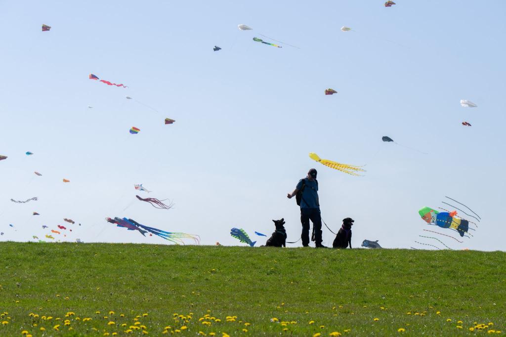 Ein Mann und seine beiden Hunde betrachten die bunten Flugdrachen, die beim Drachenfest im niedersächsischen Dornumersiel durch die Lüfte fliegen. - Foto: Izabela Mittwollen/dpa