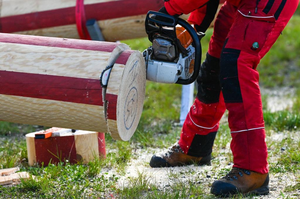 Die Kettensäge einer Teilnehmerin arbeitet sich in den Baumstamm vor. In Eisleben findet die 13. Mansfelder Holzfällermeisterschaften statt. - Foto: Heiko Rebsch/dpa