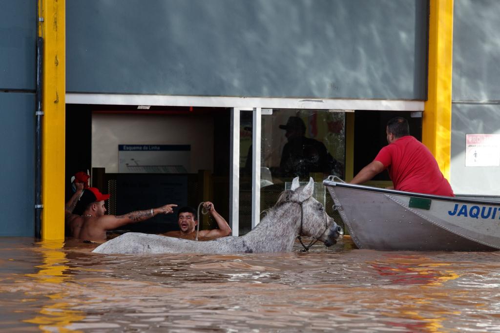 Ein Rettungsteam evakuiert Menschen im brasilianischen Bundesstaat Rio Grande do Sul nach Überschwemmungen durch tagelangen Regen. - Foto: Claudia Martini/XinHua/dpa