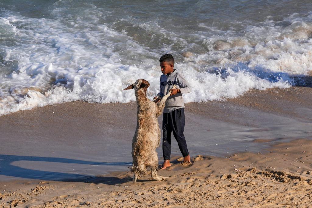 Am Strand von Deir al Balah im Gazastreifen: Was aussieht wie ein kleines Tänzchen, ist eigentlich ein Versuch, die Ziege im Mittelmeer zu waschen. - Foto: Abdel Kareem Hana/AP
