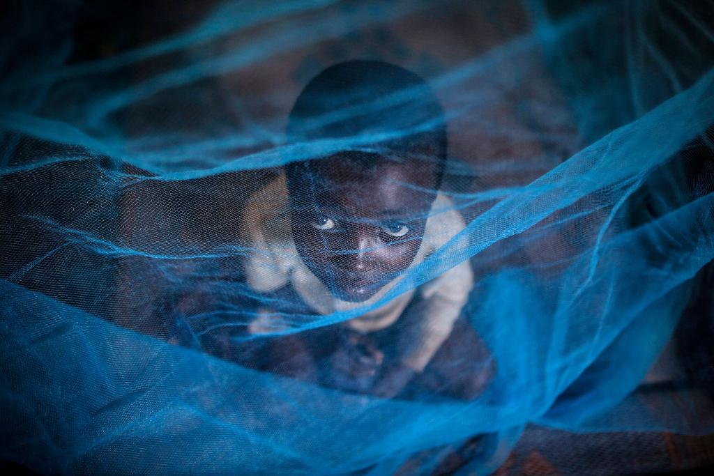 Ein Flüchtlingskind aus Burundi sitzt in Gashora, Ruanda, unter einem Moskitonetz: Der Malaria-Erreger wird durch Anopheles-Stechmücken übertragen. - Foto: Dai Kurokawa/EPA/dpa