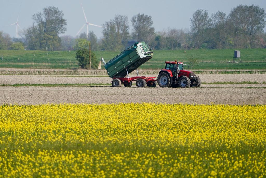 Die Umweltauflagen für Landwirte sollen auf EU-Ebene gelockert werden - das ist nicht unumstritten. - Foto: Marcus Brandt/dpa