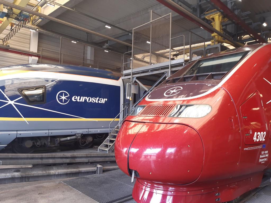 Das Bahnunternehmen Eurostar will in bis zu 50 neue Züge investieren. - Foto: Jan Nagels/Belga/dpa