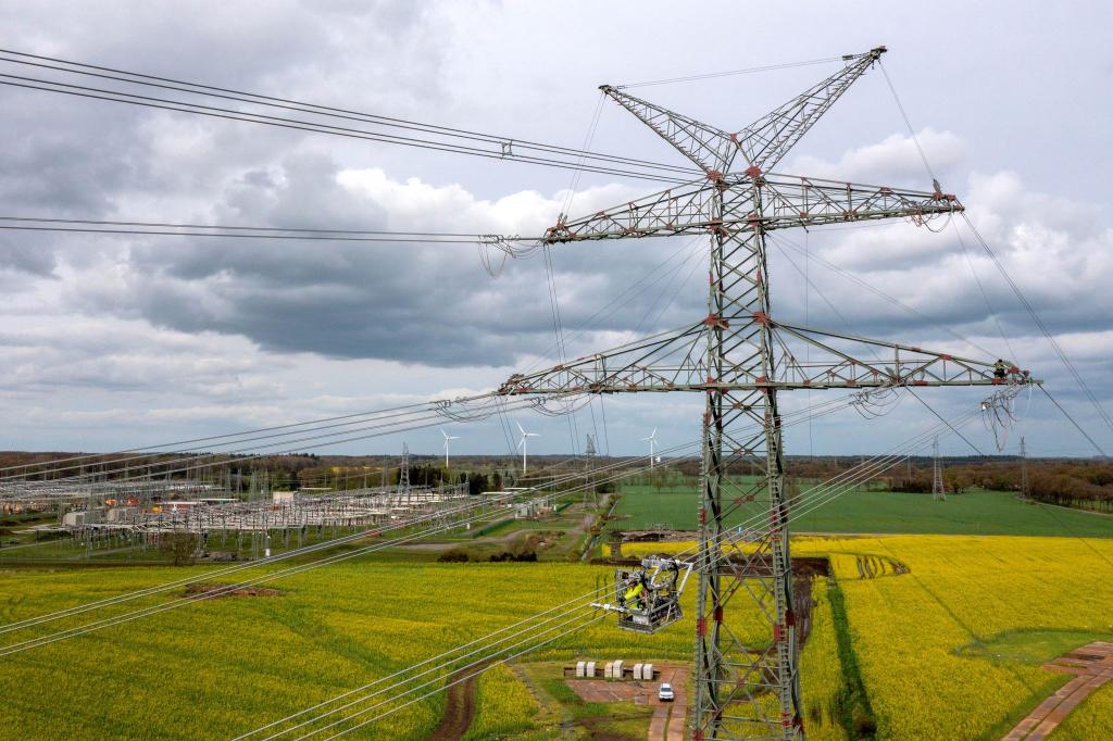 Strommasten des Netzbetreibers Tennet nahe des Umspannwerkes Conneforde. - Foto: Sina Schuldt/dpa