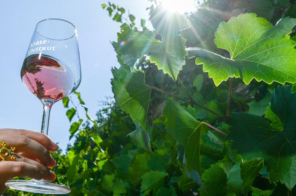 Rosé-Wein wird gerne getrunken. - Foto: Jens Kalaene/dpa